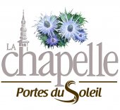 Paul Vesin Animation cirque 64