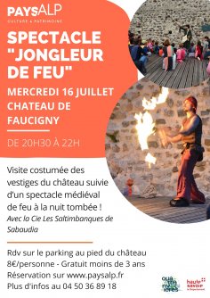 Paul Vesin Animation feu 49