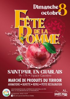 Paul Vesin Animation fsestif 43