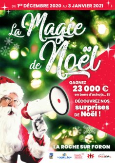 Paul Vesin Animation hiver 114