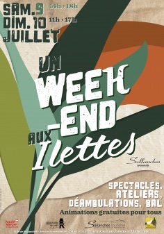 Paul Vesin Animation pirate 93